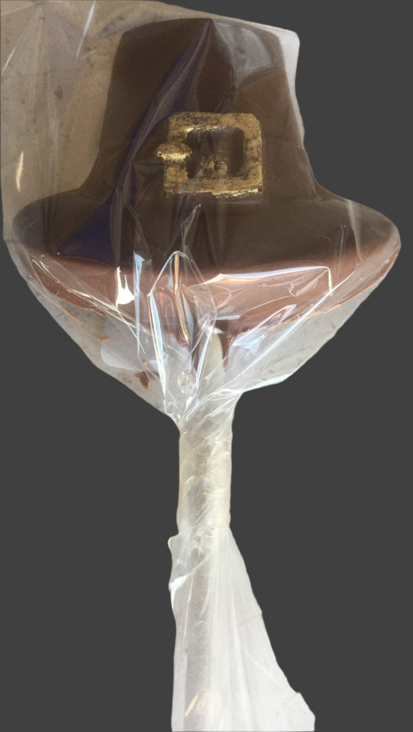 Thanksgiving Pilgrim Hat